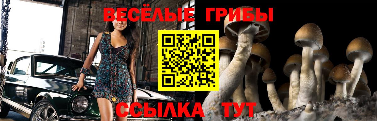 Галлюциногенные грибы мухоморы  где купить наркотик  Сегежа  Вход с VPN 